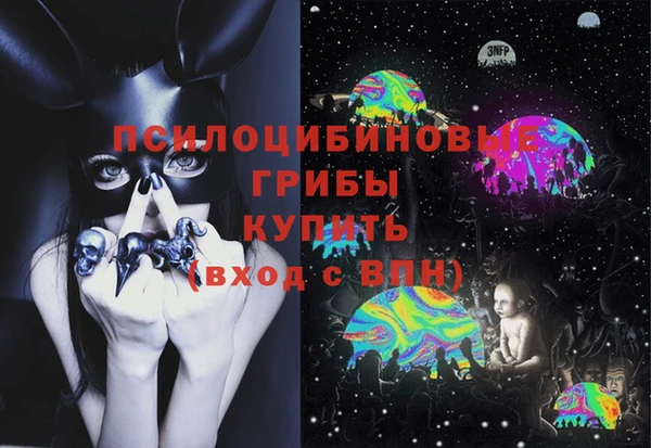 герыч Болотное