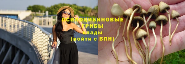 альфа пвп Нефтекумск